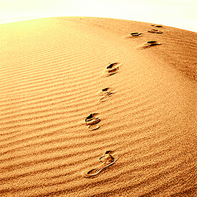desert-footprints